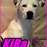 Kira